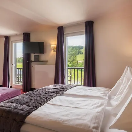 泽费尔德维特斯坦酒店 酒店